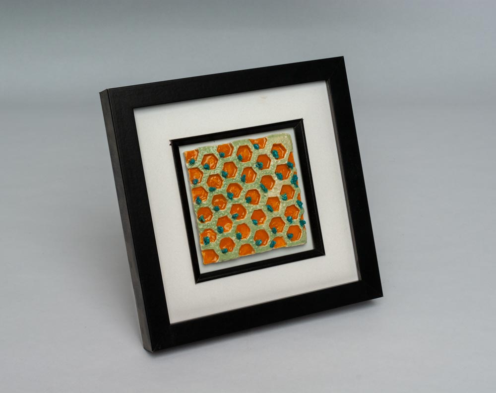 Framed Human Tissue Tiles - Leah S Gary