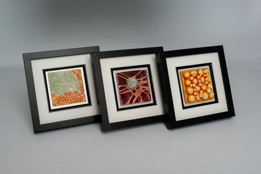Framed Human Tissue Tiles - Leah S Gary